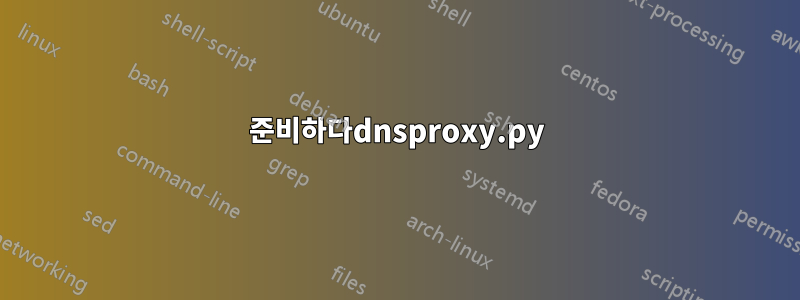 준비하다dnsproxy.py