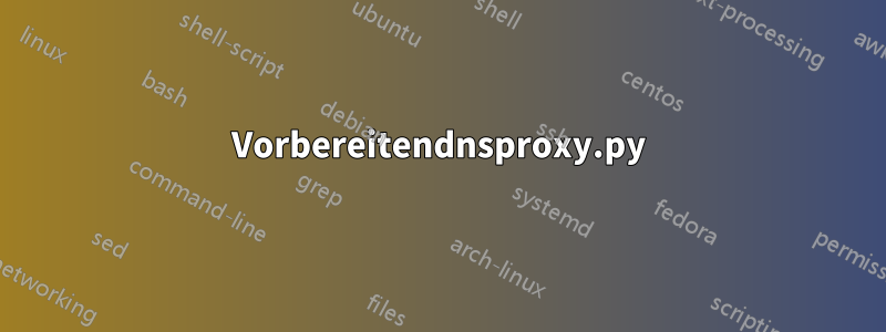 Vorbereitendnsproxy.py