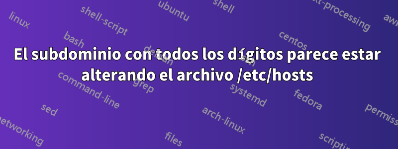 El subdominio con todos los dígitos parece estar alterando el archivo /etc/hosts