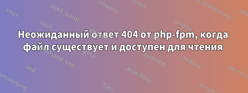 Неожиданный ответ 404 от php-fpm, когда файл существует и доступен для чтения