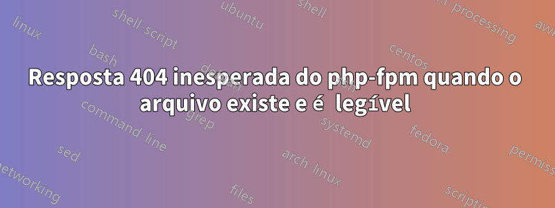 Resposta 404 inesperada do php-fpm quando o arquivo existe e é legível