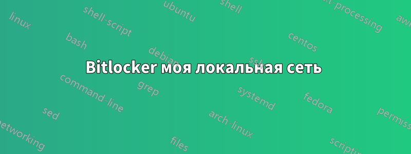 Bitlocker моя локальная сеть