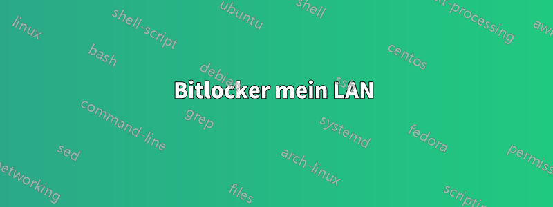 Bitlocker mein LAN