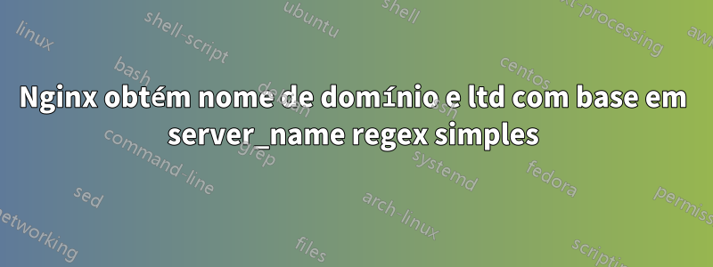 Nginx obtém nome de domínio e ltd com base em server_name regex simples