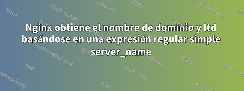 Nginx obtiene el nombre de dominio y ltd basándose en una expresión regular simple server_name