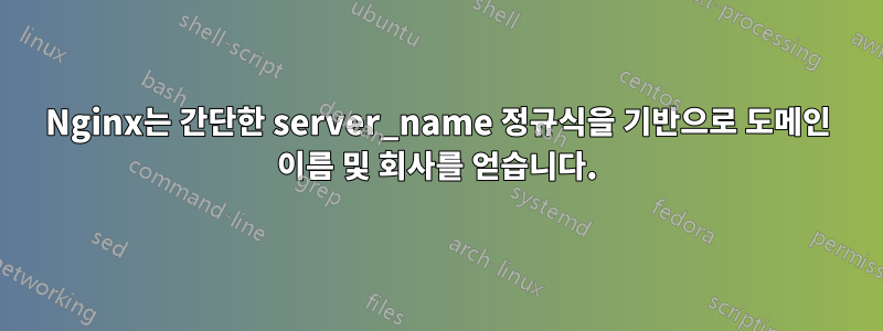 Nginx는 간단한 server_name 정규식을 기반으로 도메인 이름 및 회사를 얻습니다.