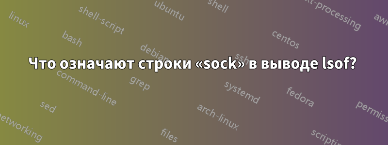 Что означают строки «sock» в выводе lsof?