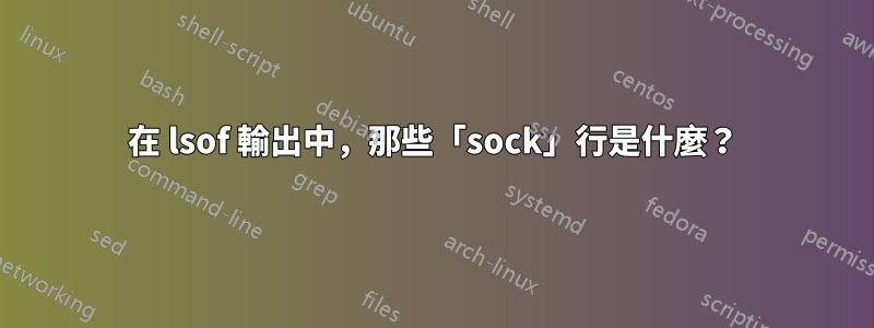 在 lsof 輸出中，那些「sock」行是什麼？