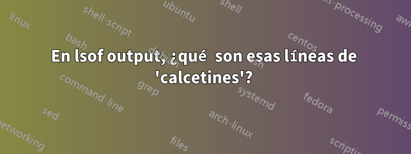 En lsof output, ¿qué son esas líneas de 'calcetines'?