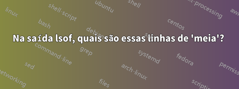 Na saída lsof, quais são essas linhas de 'meia'?