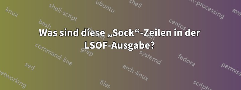 Was sind diese „Sock“-Zeilen in der LSOF-Ausgabe?