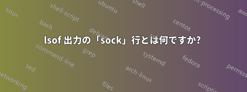 lsof 出力の「sock」行とは何ですか?