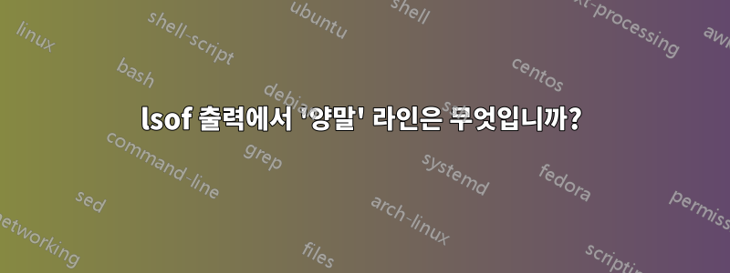 lsof 출력에서 ​​'양말' 라인은 무엇입니까?