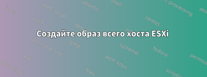 Создайте образ всего хоста ESXi