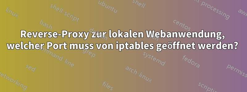 Reverse-Proxy zur lokalen Webanwendung, welcher Port muss von iptables geöffnet werden?