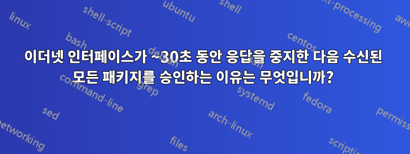 이더넷 인터페이스가 ~30초 동안 응답을 중지한 다음 수신된 모든 패키지를 승인하는 이유는 무엇입니까?