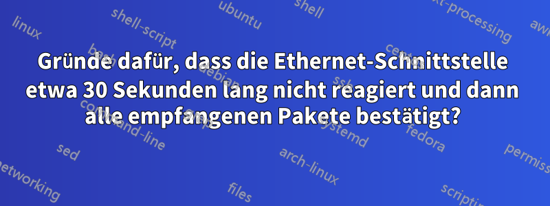 Gründe dafür, dass die Ethernet-Schnittstelle etwa 30 Sekunden lang nicht reagiert und dann alle empfangenen Pakete bestätigt?