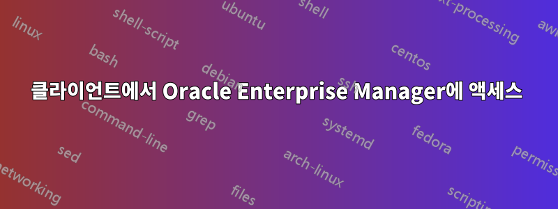 클라이언트에서 Oracle Enterprise Manager에 액세스