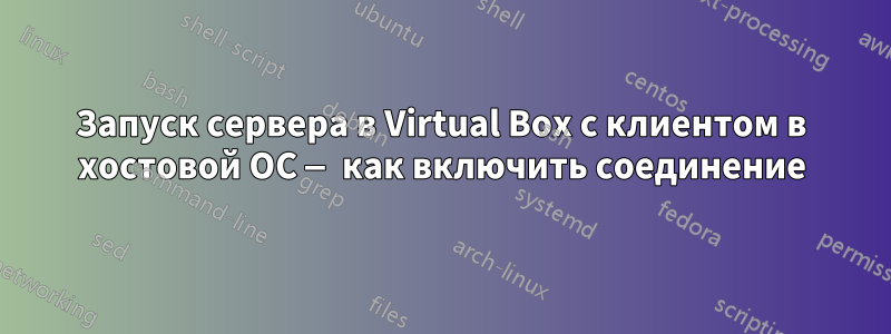 Запуск сервера в Virtual Box с клиентом в хостовой ОС — как включить соединение