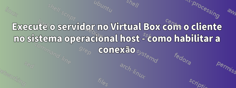 Execute o servidor no Virtual Box com o cliente no sistema operacional host - como habilitar a conexão