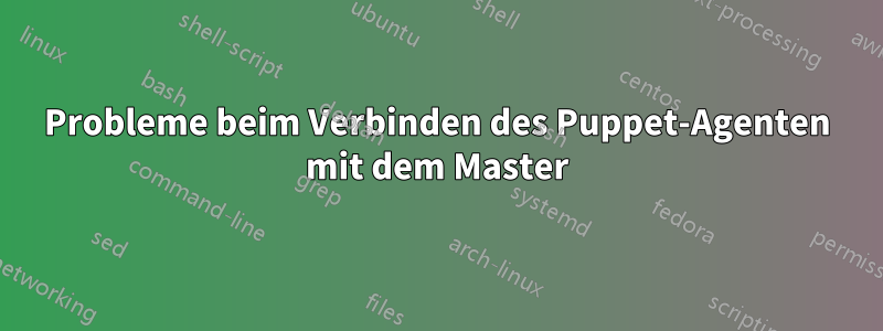 Probleme beim Verbinden des Puppet-Agenten mit dem Master