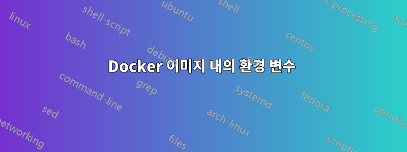 Docker 이미지 내의 환경 변수