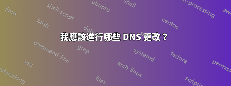 我應該進行哪些 DNS 更改？