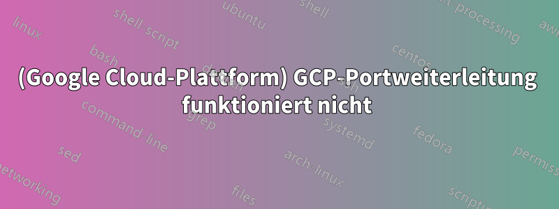 (Google Cloud-Plattform) GCP-Portweiterleitung funktioniert nicht