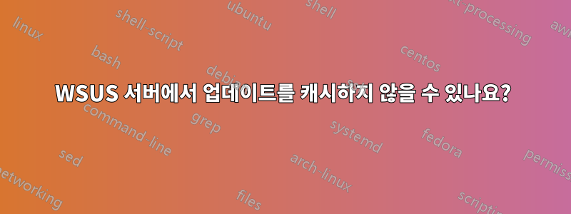 WSUS 서버에서 업데이트를 캐시하지 않을 수 있나요?