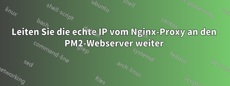 Leiten Sie die echte IP vom Nginx-Proxy an den PM2-Webserver weiter