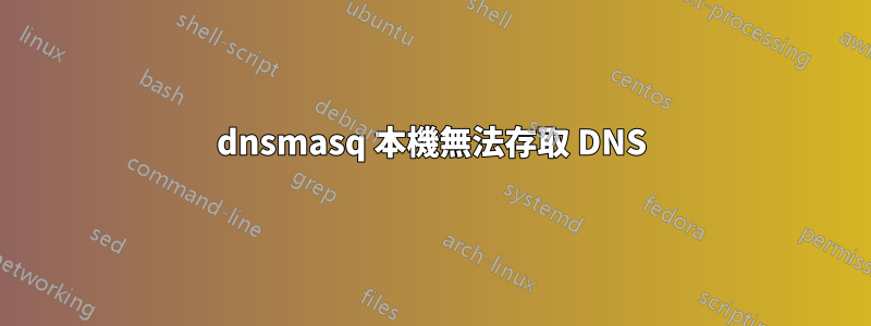 dnsmasq 本機無法存取 DNS