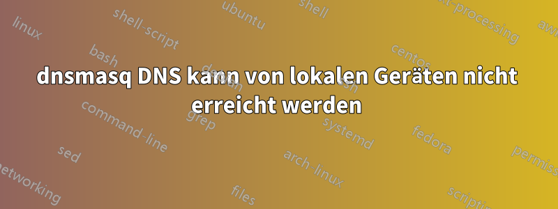 dnsmasq DNS kann von lokalen Geräten nicht erreicht werden