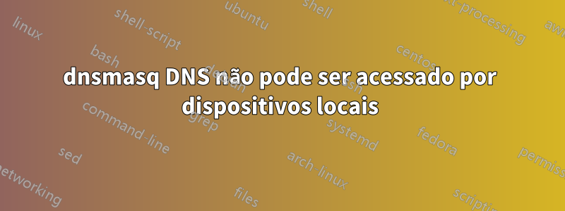 dnsmasq DNS não pode ser acessado por dispositivos locais