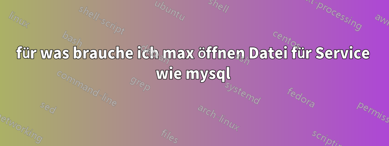 für was brauche ich max öffnen Datei für Service wie mysql