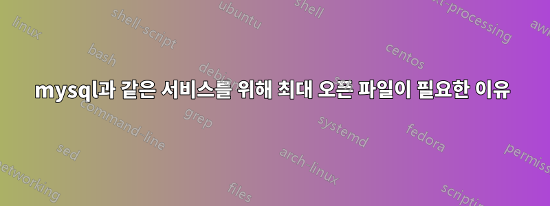 mysql과 같은 서비스를 위해 최대 오픈 파일이 필요한 이유