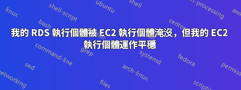 我的 RDS 執行個體被 EC2 執行個體淹沒，但我的 EC2 執行個體運作平穩