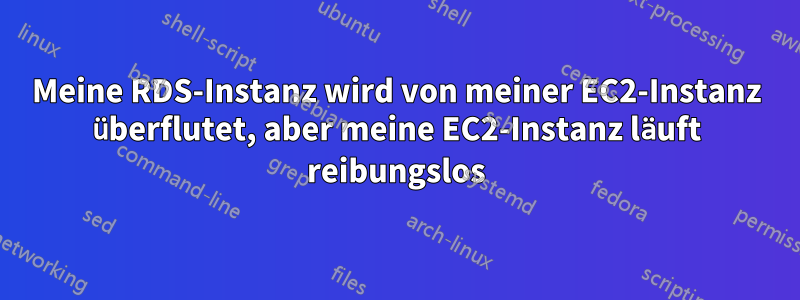 Meine RDS-Instanz wird von meiner EC2-Instanz überflutet, aber meine EC2-Instanz läuft reibungslos