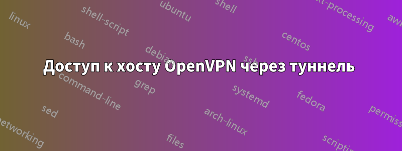 Доступ к хосту OpenVPN через туннель