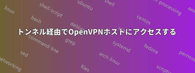 トンネル経由でOpenVPNホストにアクセスする