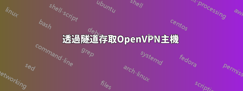 透過隧道存取OpenVPN主機