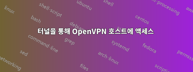 터널을 통해 OpenVPN 호스트에 액세스