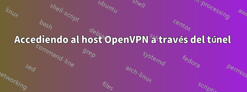 Accediendo al host OpenVPN a través del túnel