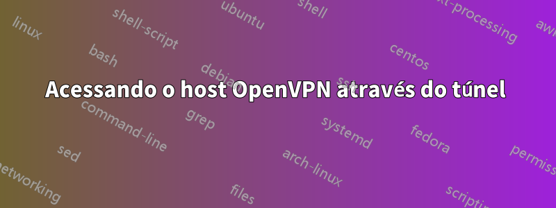 Acessando o host OpenVPN através do túnel