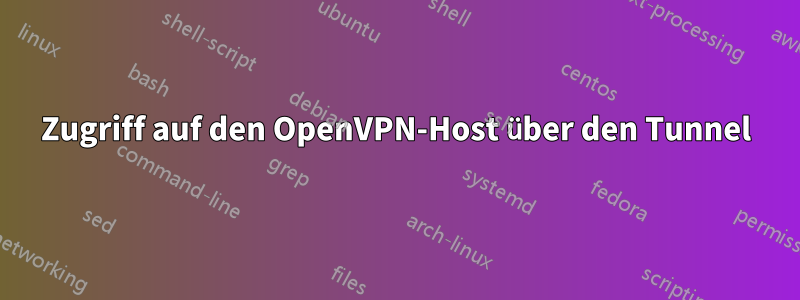 Zugriff auf den OpenVPN-Host über den Tunnel