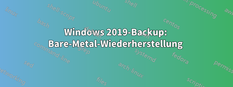 Windows 2019-Backup: Bare-Metal-Wiederherstellung