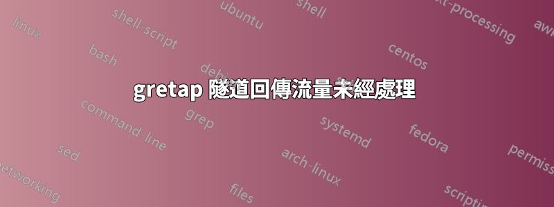 gretap 隧道回傳流量未經處理
