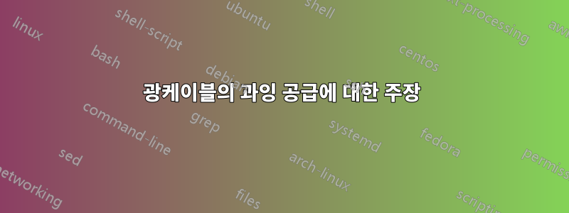 광케이블의 과잉 공급에 대한 주장