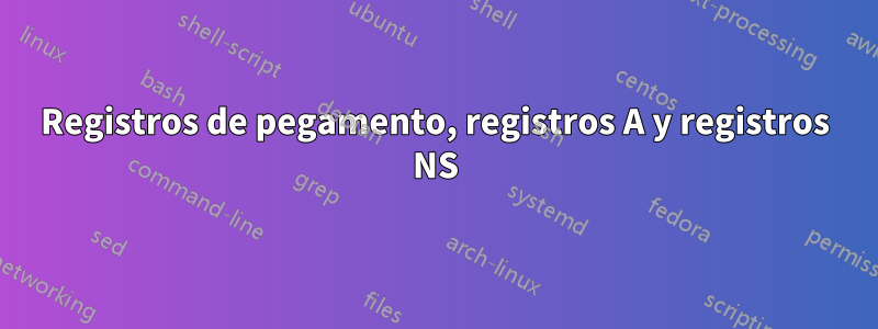 Registros de pegamento, registros A y registros NS