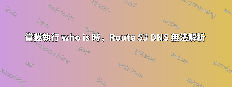 當我執行 who is 時，Route 53 DNS 無法解析
