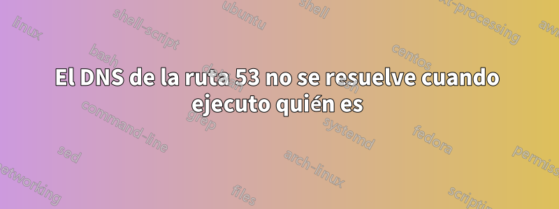El DNS de la ruta 53 no se resuelve cuando ejecuto quién es